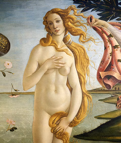 Birth of Venus Birth of Venus