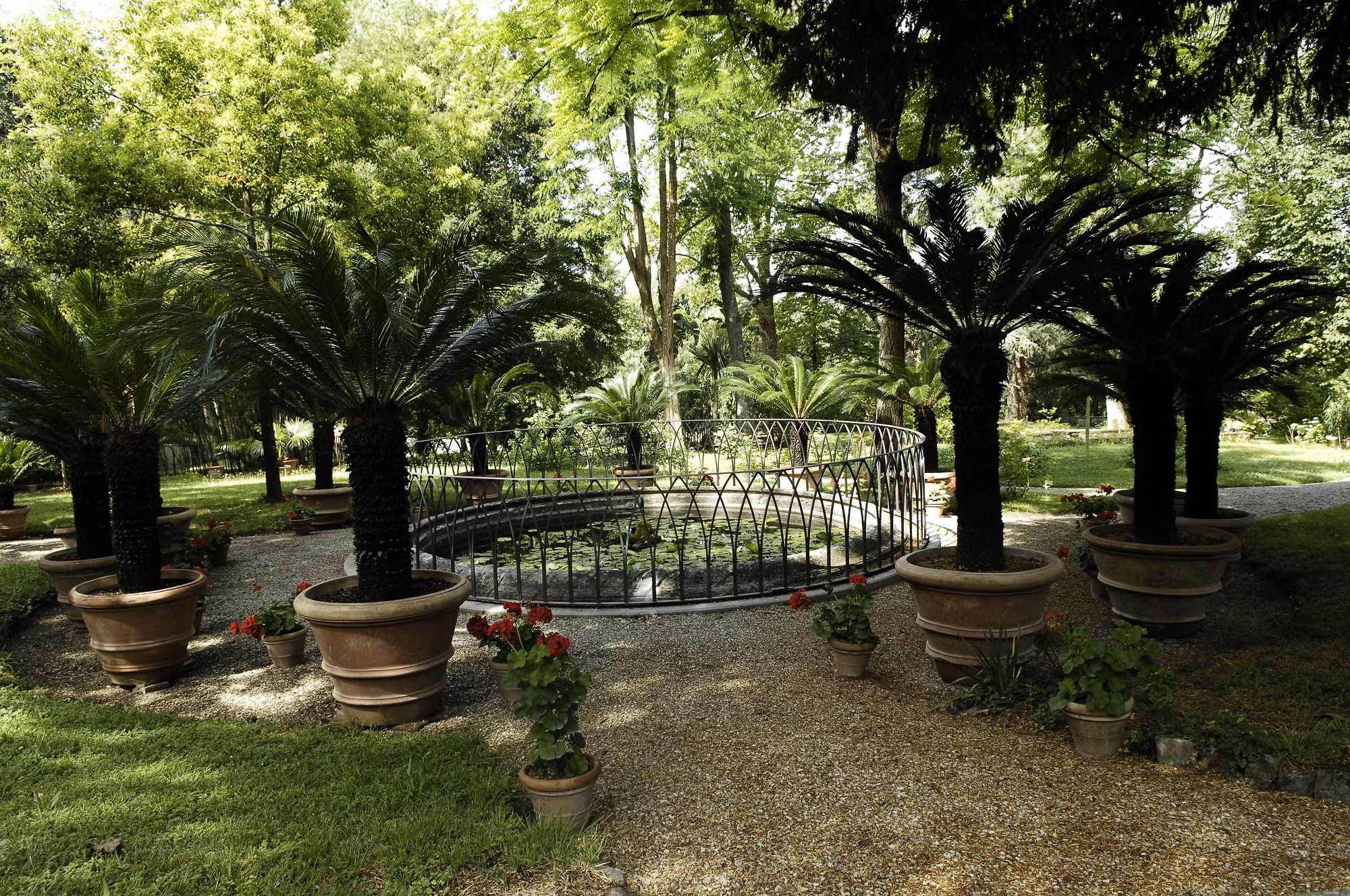 Il Giardino della Botanica Superiore
