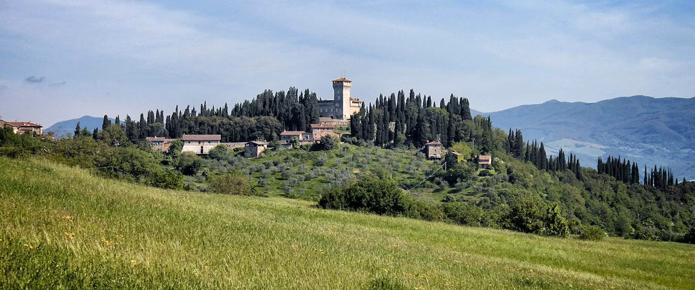 Lands of the Uffizi is going from strength to strength Lands of the Uffizi is going from strength to strength