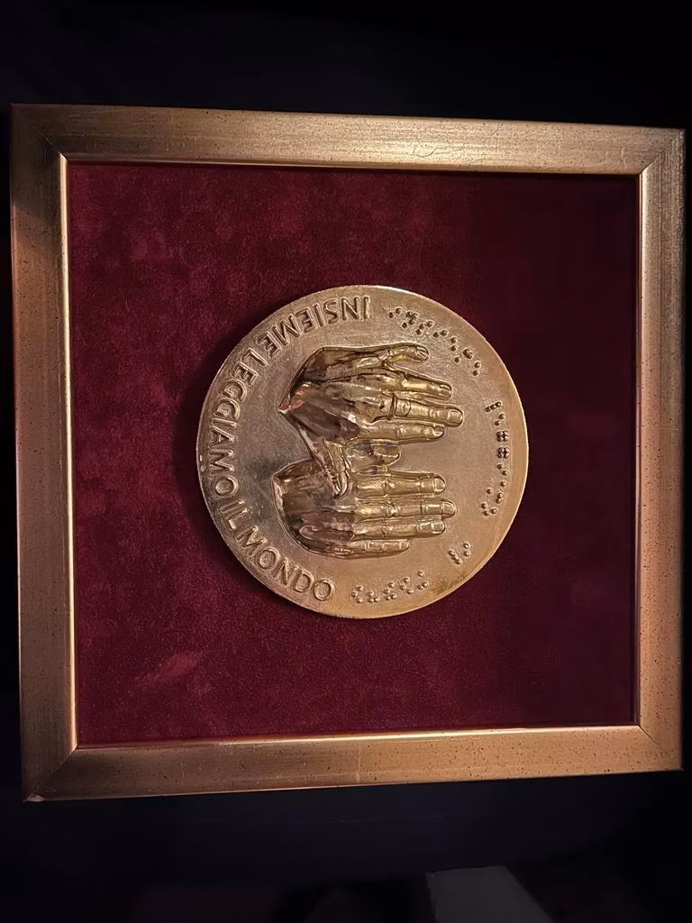 A bronze medal featuring a relief of hands and Braille text, mounted on a burgundy velvet background within a gold frame.