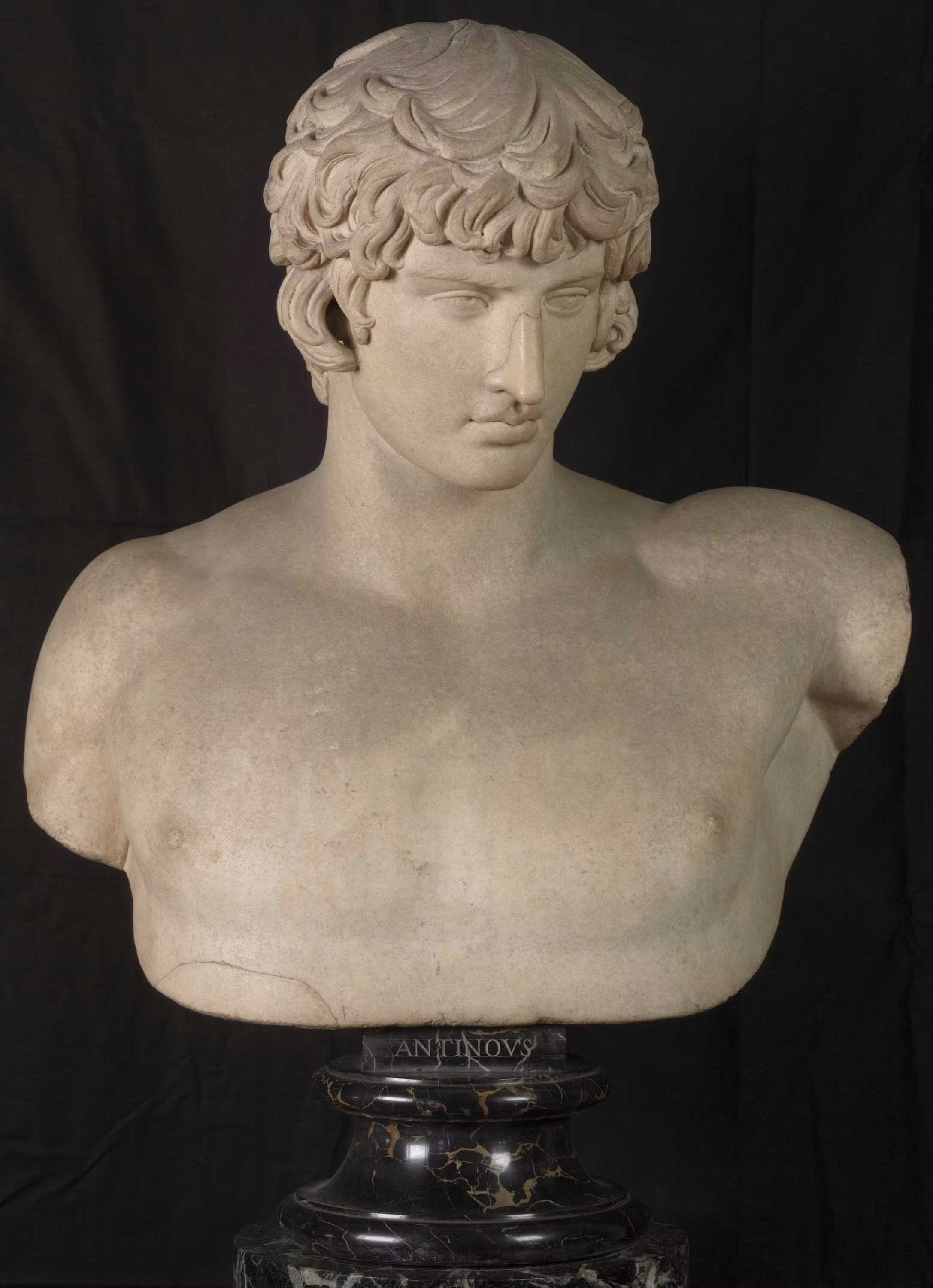Marble bust of a young man with curly hair, set against a dark background, showcasing classical Greek sculpture style.