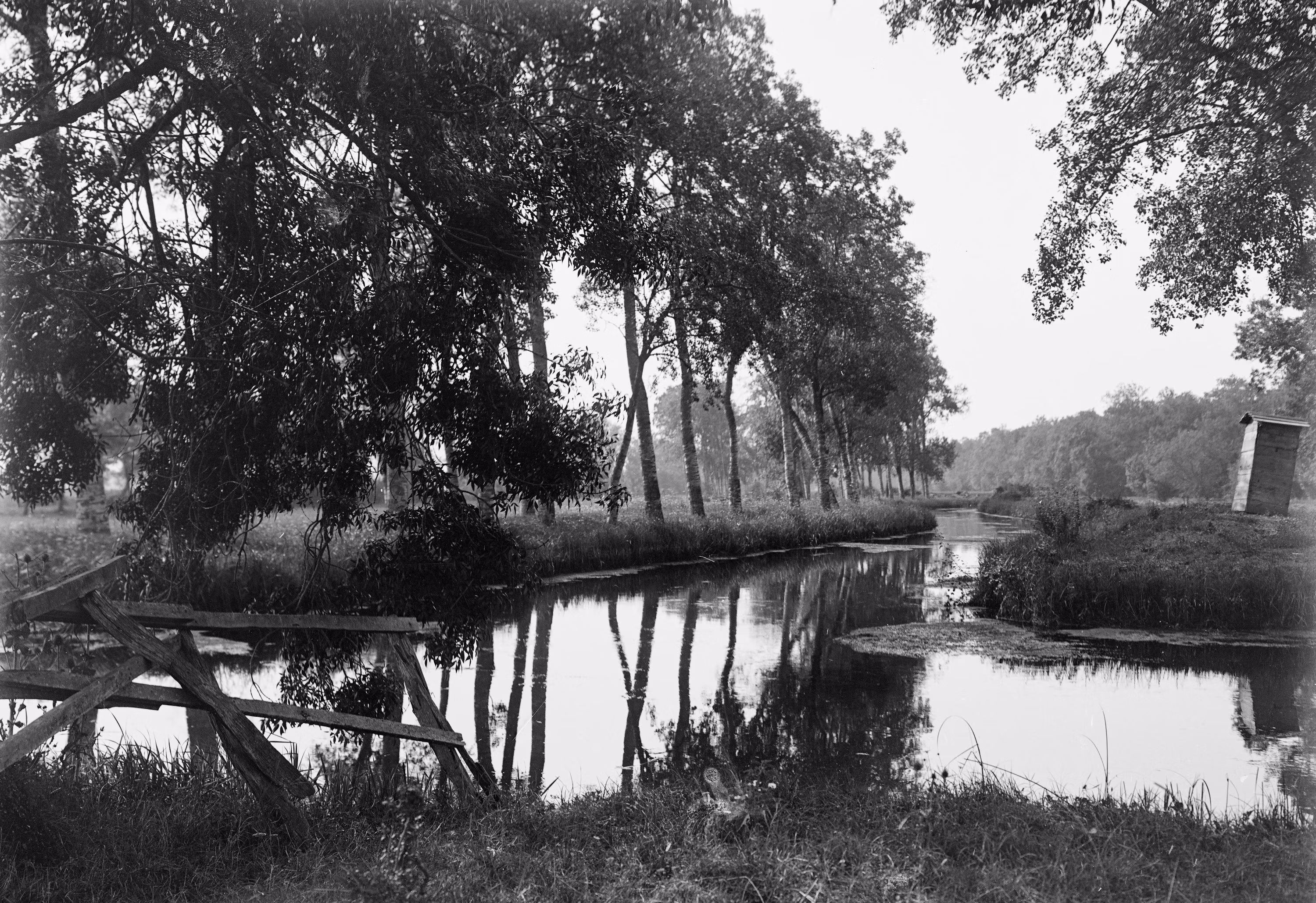 Sul fiume Morto (San Rossore)
