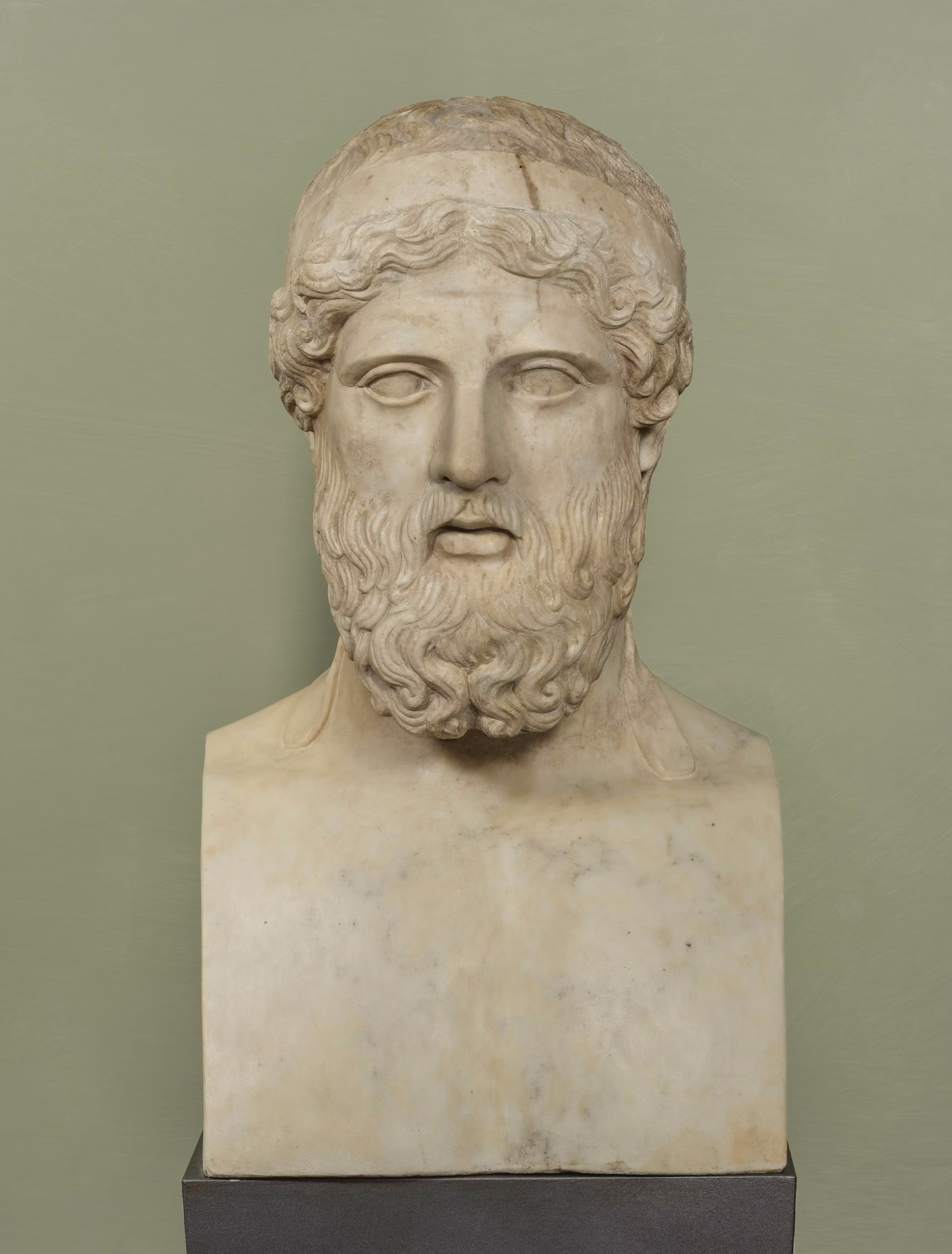 Una statua busto di marmo ritrae un uomo con barba e capelli ricci, su uno sfondo verde chiaro.