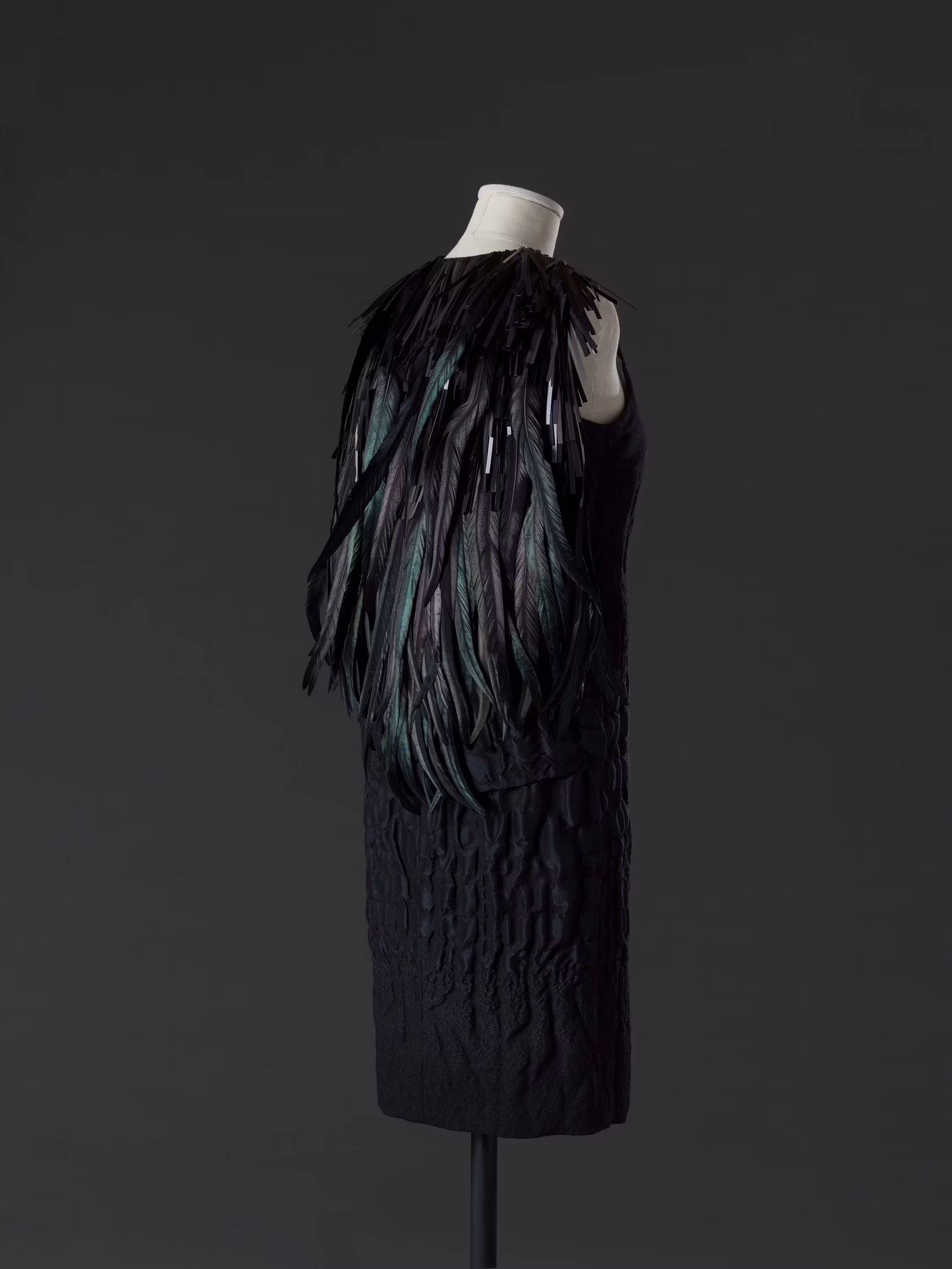 A black, sleeveless dress features an extravagant, feathered cape cascading down the back, displayed against a plain dark background.