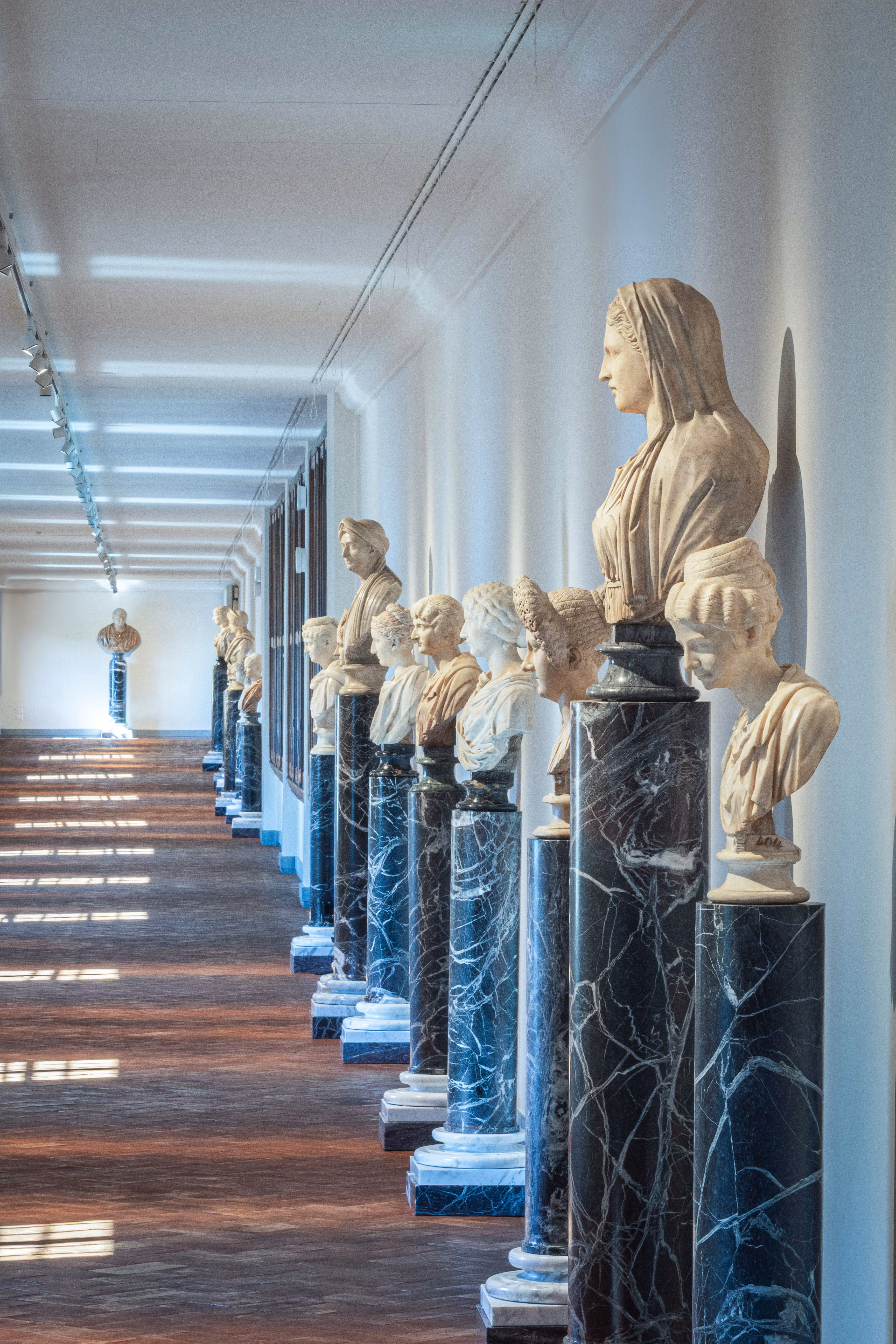 Una galleria d'arte con un corridoio illuminato dalla luce naturale mostra una fila di busti in marmo bianco su piedistalli scuri decorativi.
